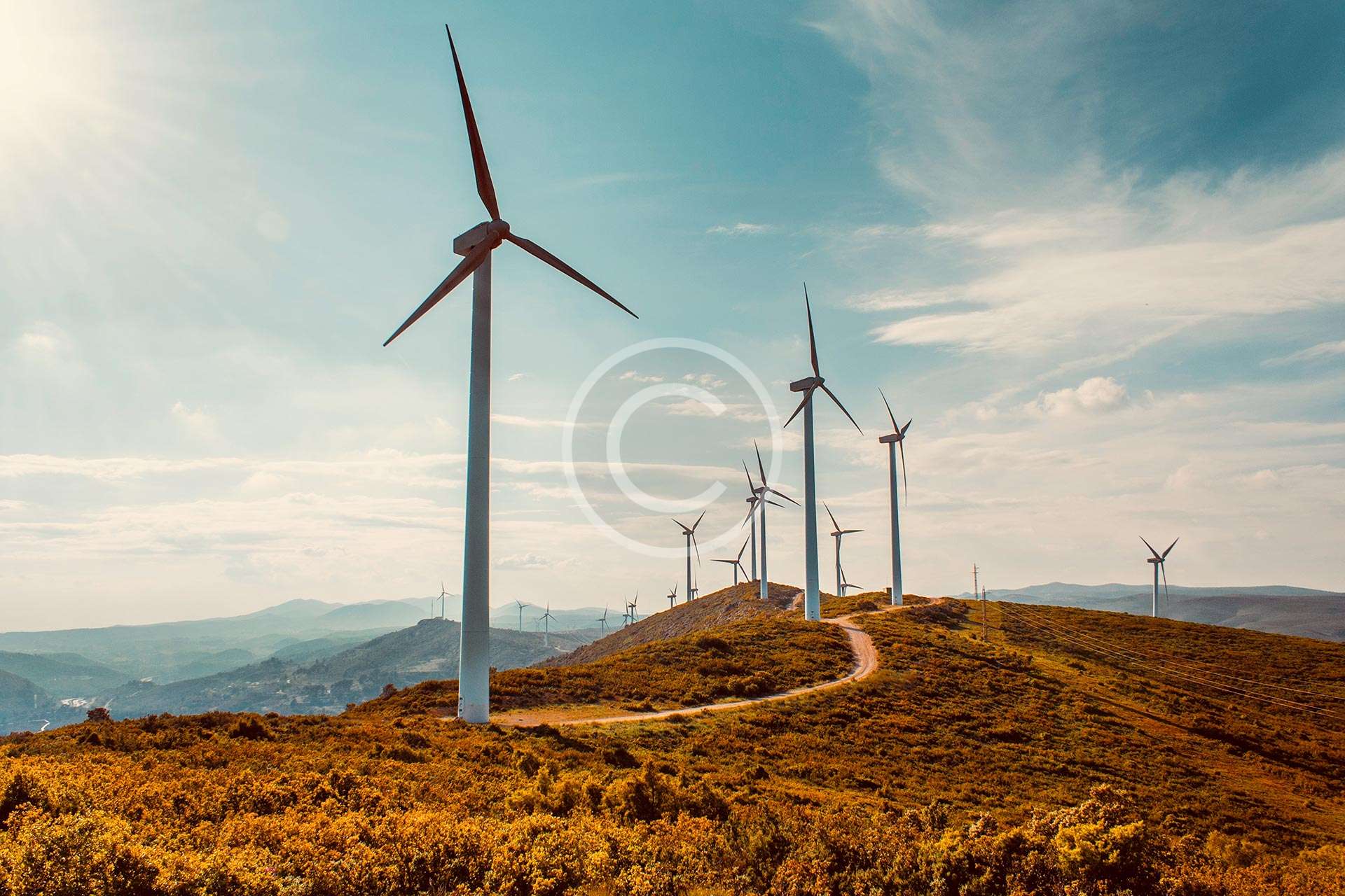 Lorem Ipsum 9